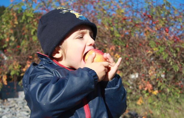 GZ Genuss Paul isst Apfel