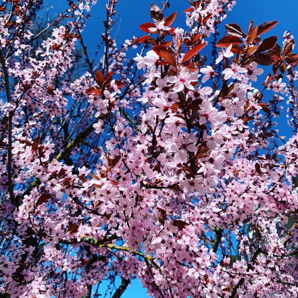 77F9D854-B294-421E-85FC-A548C1849FCB